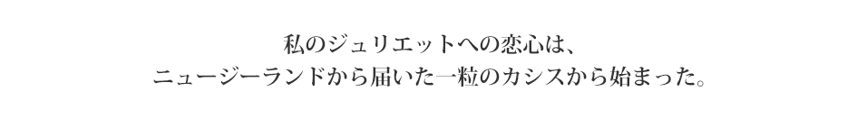 私のジュリエットへの恋心は、ニュージーランドから届いた一粒のカシスから始まった。