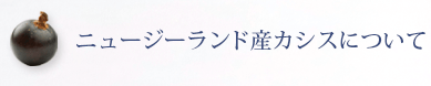 ニュージーランド産カシスについて