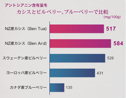 カシスとビルベリー、ブルーベリーで比較